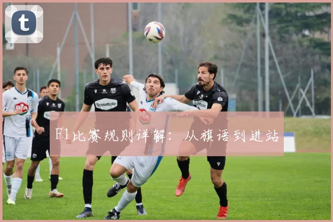 F1比赛规则详解:从旗语到进站