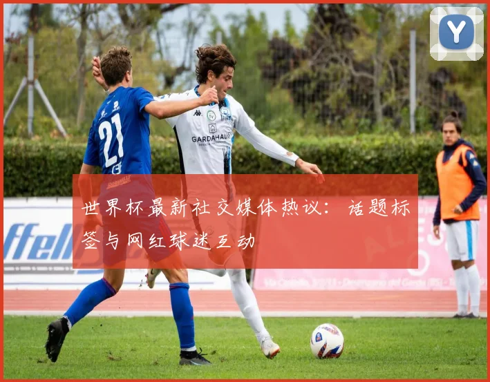 世界杯最新社交媒体热议：话题标签与网红球迷互动