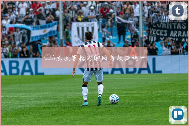 CBA总决赛精彩瞬间与数据统计