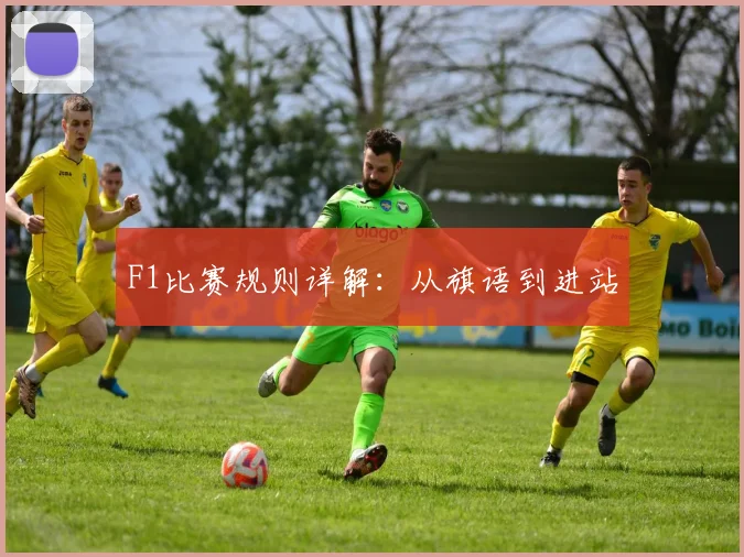 F1比赛规则详解:从旗语到进站